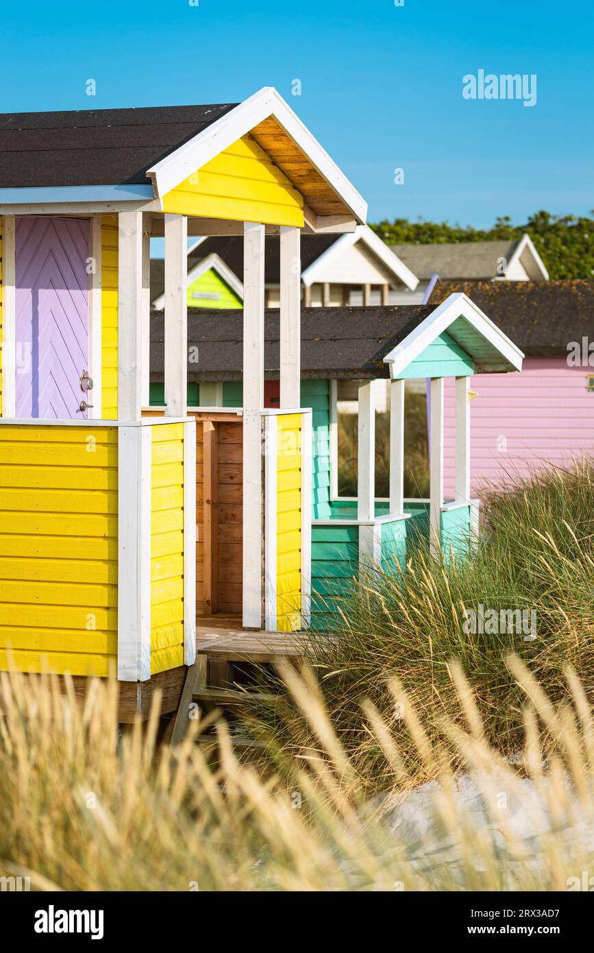 Colorate capanne in legno battute dal vento nelle dune di sabbia sulla spiaggia di Skanör med Falsterbo sul Öresund al sole del pomeriggio, Skåne, Svezia Foto Stock