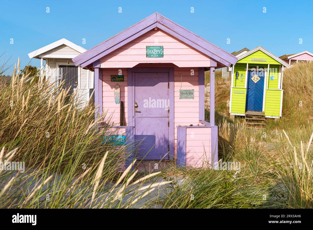 Vista frontale del fronte in legno di una baita rosa sulla spiaggia di Skanör med Falsterbo al Öresund al sole serale di Skåne, Svezia Foto Stock