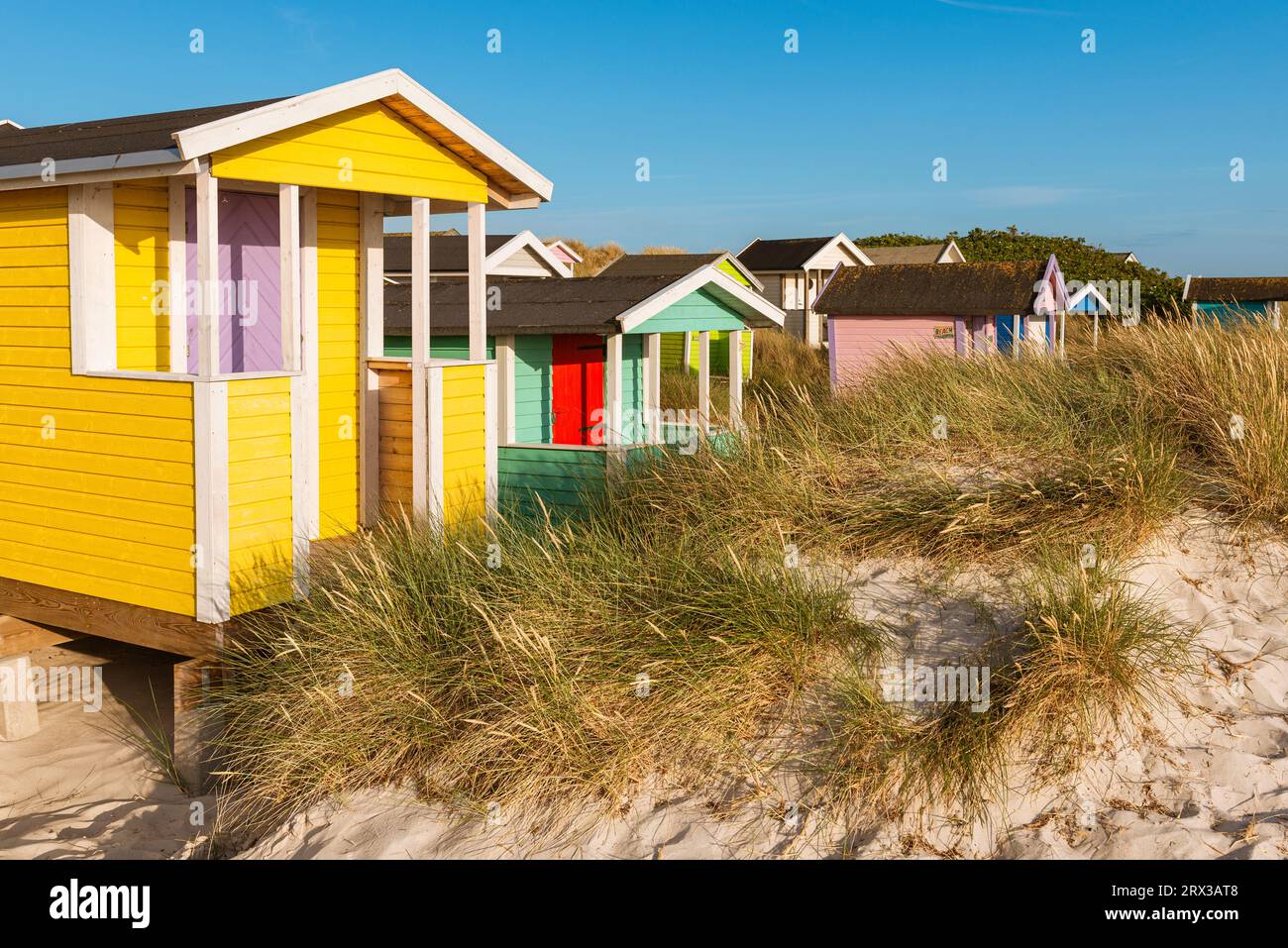 Colorate capanne in legno battute dal vento nelle dune di sabbia sulla spiaggia di Skanör med Falsterbo sul Öresund al sole del pomeriggio, Skåne, Svezia Foto Stock