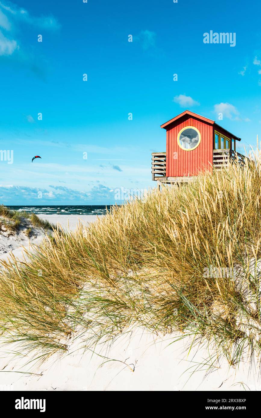 Torre di osservazione dei bagnini in legno rosso su palafitte presso il bar sulla spiaggia tra le dune di sabbia sulla spiaggia di Skanör med Falsterbo al sole del mattino, Skåne, Svezia Foto Stock