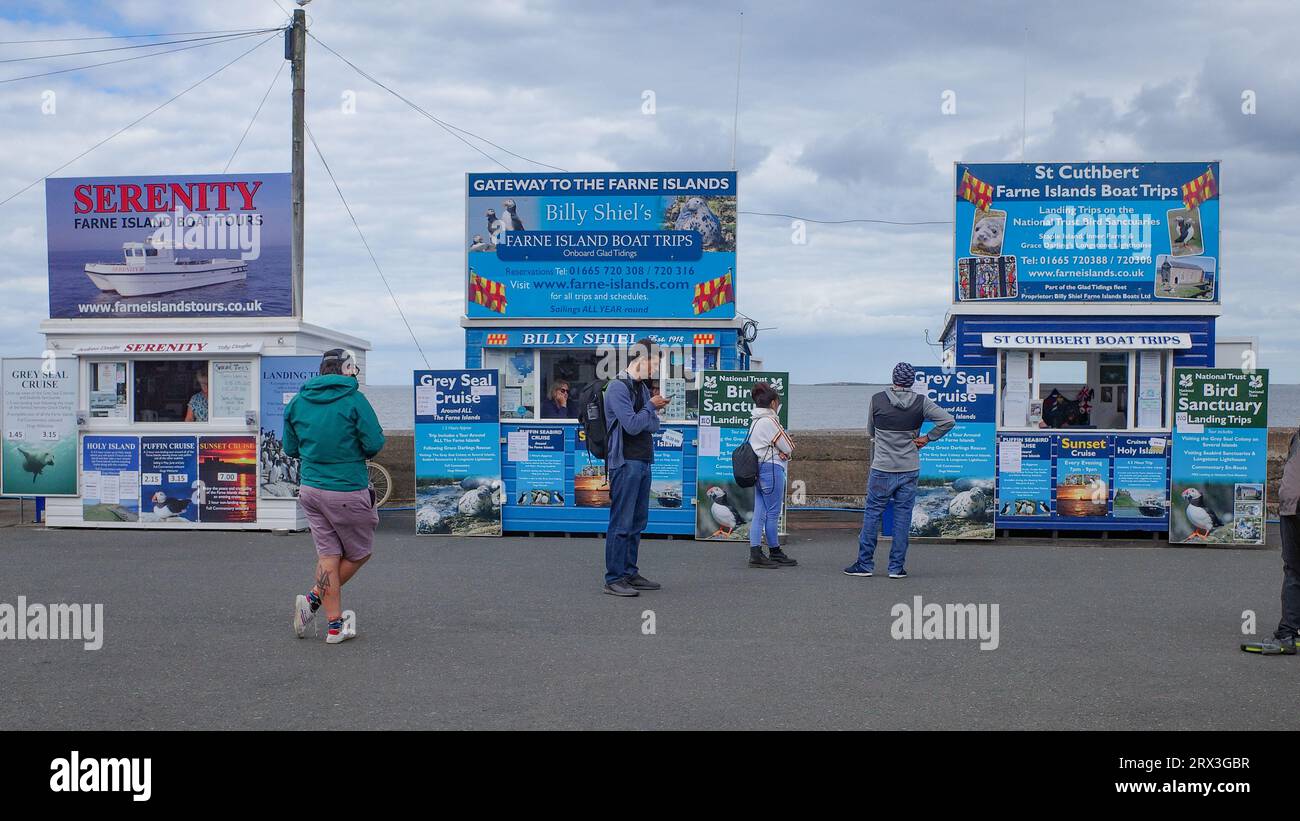 Seahouses, Regno Unito - 13 luglio 2023: Tour operator che vendono gite in barca alle Isole farne, Seahouses, Northumberland Foto Stock