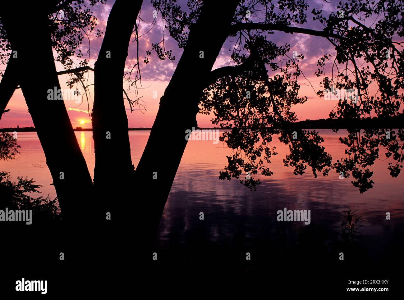 Fox Lake Sunset, Everett Park, Minnesota Foto Stock