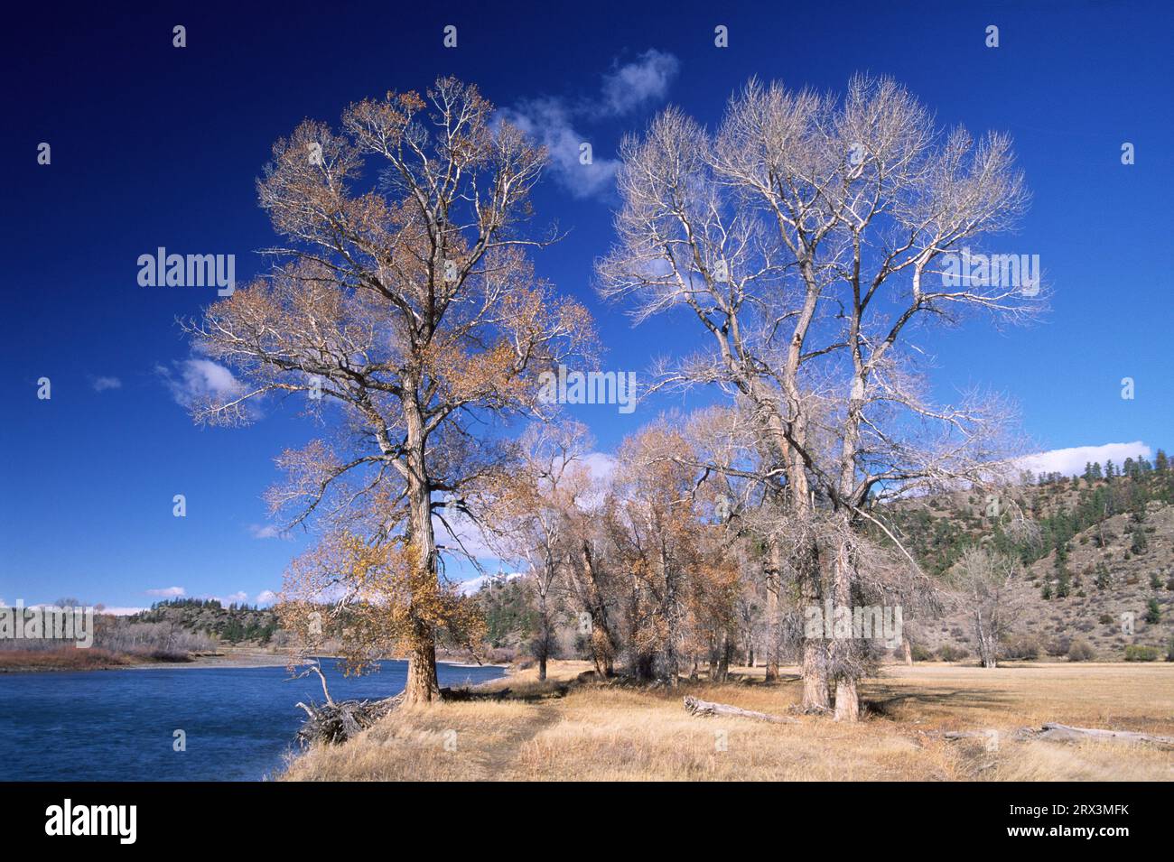 Fiume Yellowstone, sito di accesso alla pesca del forte indiano, Montana Foto Stock