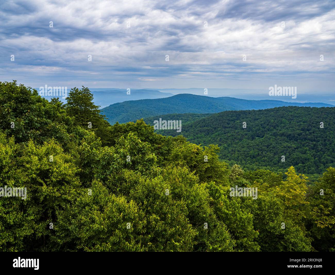 Vista panoramica della valle di Shenandoah dal parco nazionale di Shenandoah, Virginia, USA, con lontane montagne che svaniscono. Foto Stock