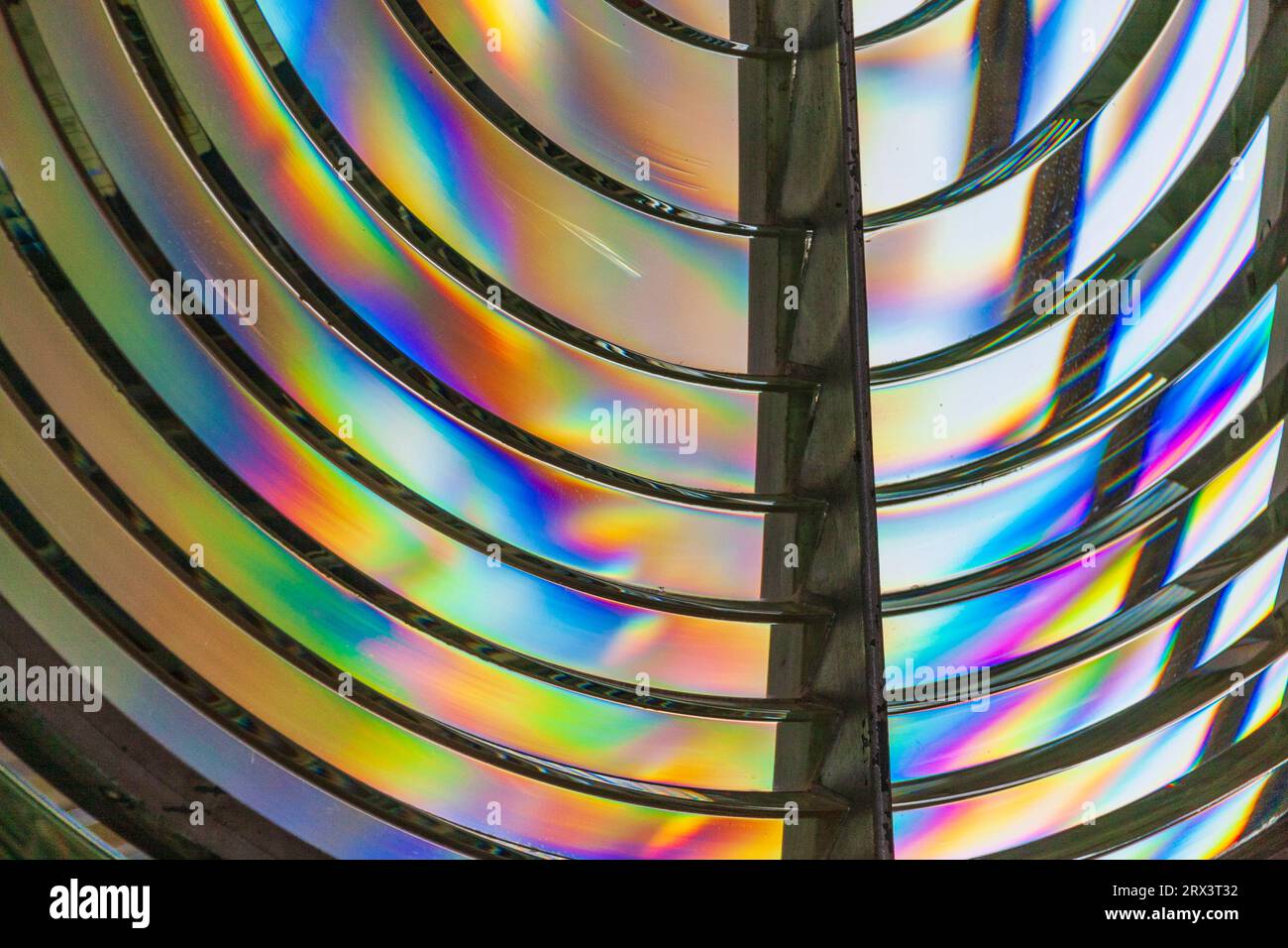 Primo ordine: Obiettivo Fresnel nel museo presso il faro di Point Arena sulla costa del pacifico, nella California settentrionale. Il faro originale è stato completato nel 1870. Foto Stock