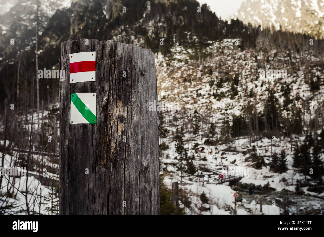 Segni turistici verdi e rossi sul tronco dell'albero in Slovacchia (Europa). Segni turistici sui percorsi turistici nelle montagne innevate in inverno. Foto Stock