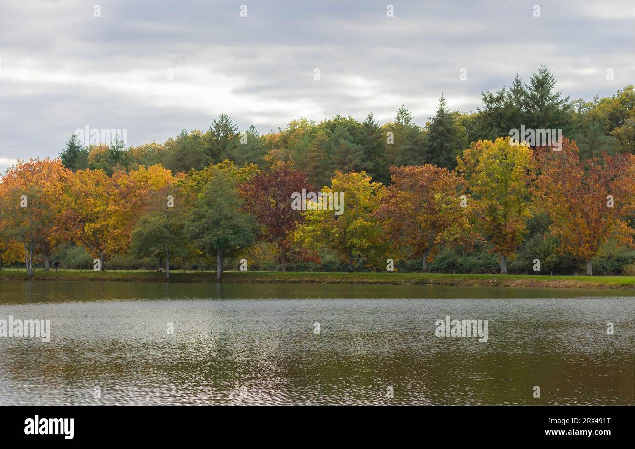 Guardando attraverso un lago all'inizio dell'autunno, mentre gli alberi cambiano colore prima di lasciar cadere le foglie Foto Stock