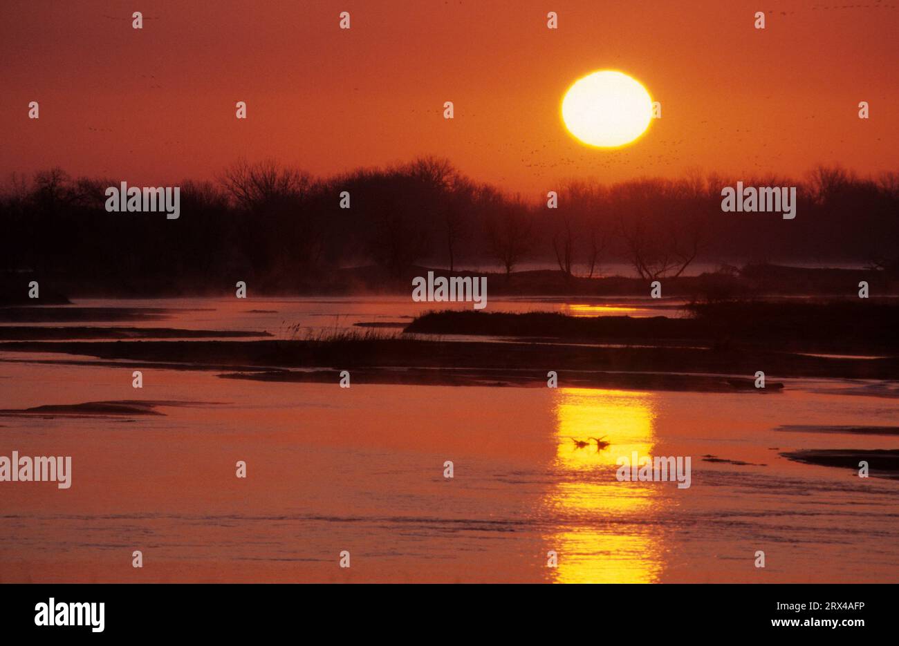 Platte River Sunrise, Kearney State Recreation area, Nebraska Foto Stock