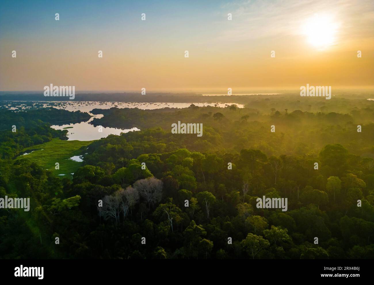 Vista aerea panoramica al tramonto della giungla della foresta pluviale nello stato di Amazonas, Brasile Foto Stock