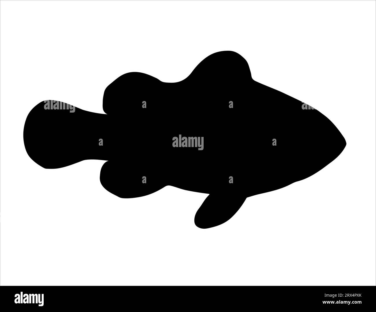 Clow FISH silhouette grafica vettoriale sfondo bianco Illustrazione Vettoriale