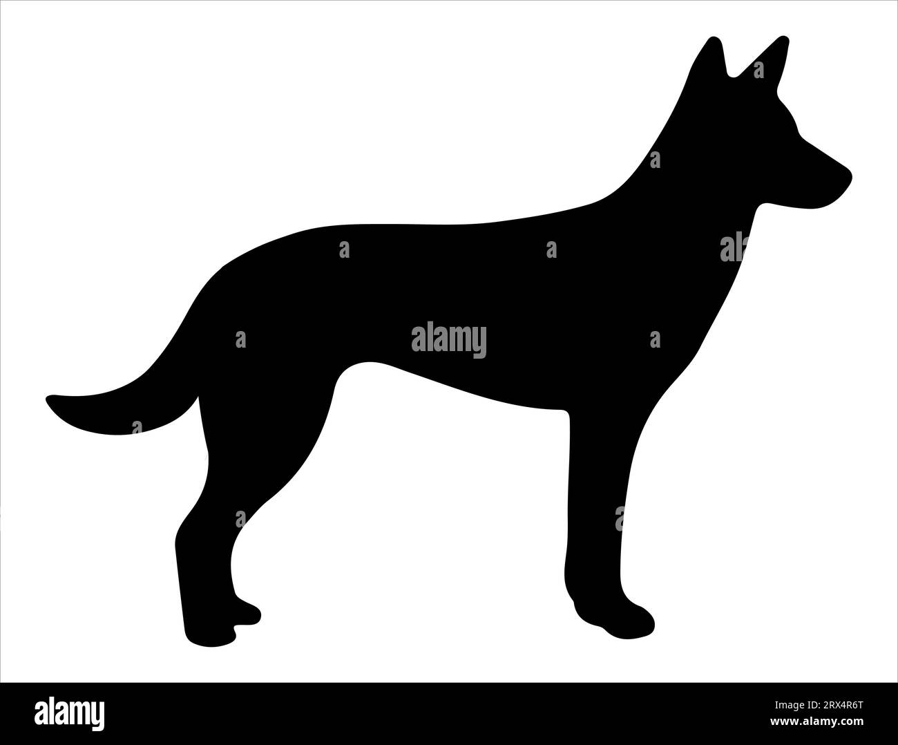 Sfondo bianco vettoriale silhouette Dingo Illustrazione Vettoriale