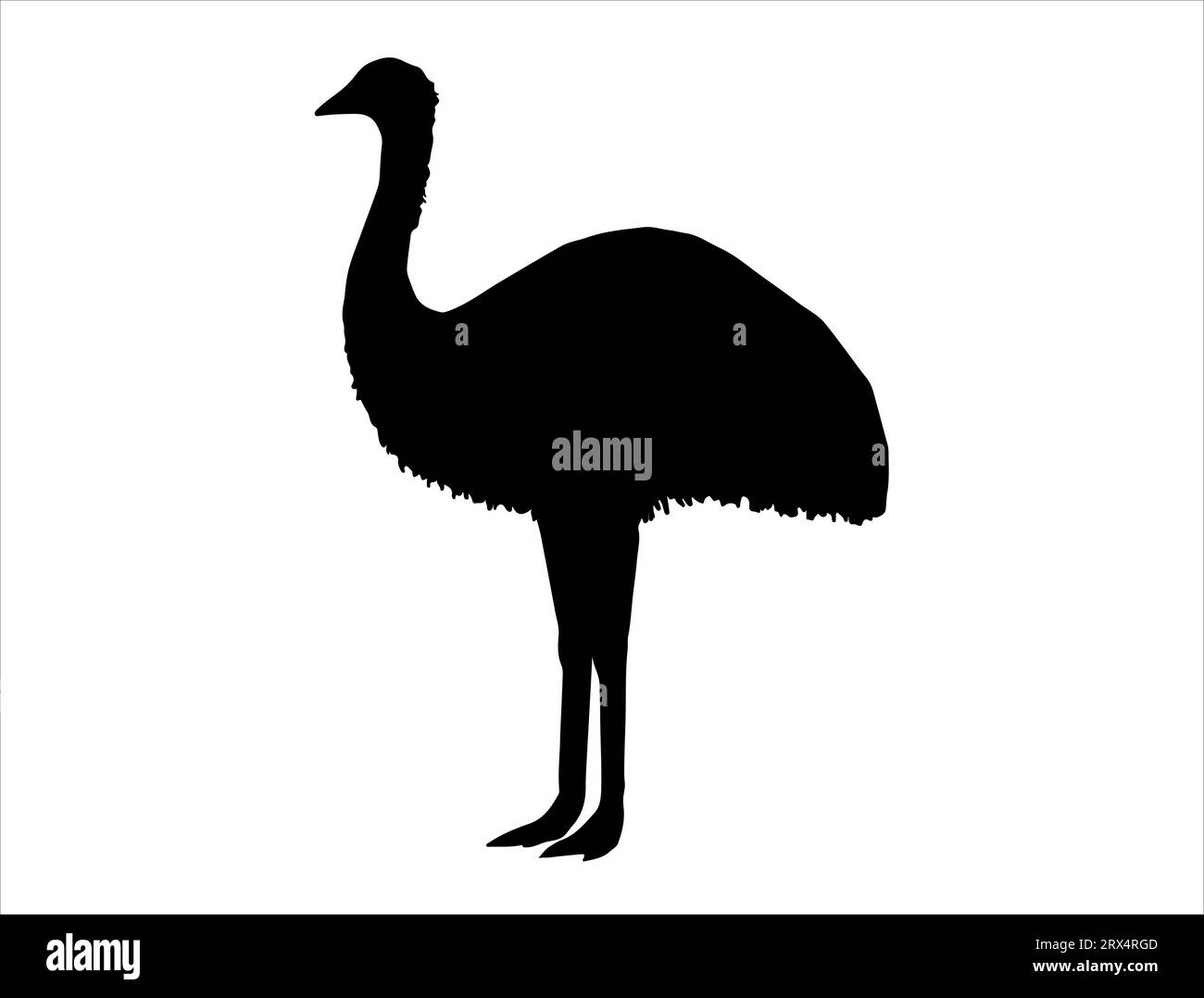 Sfondo bianco con grafica vettoriale della silhouette EMU Illustrazione Vettoriale
