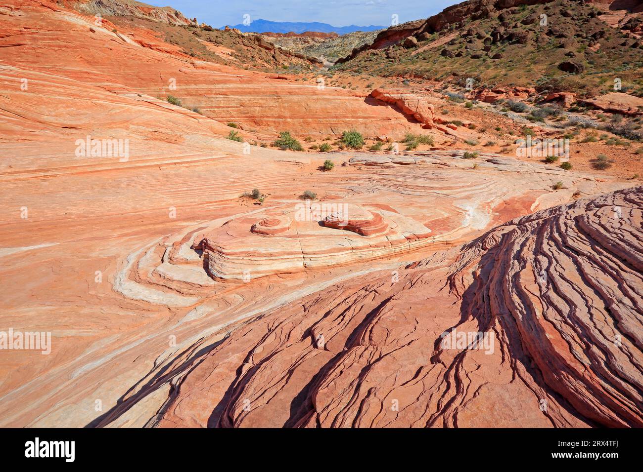 Vista dal Fire Wave - Valley of Fire State Park, Nevada Foto Stock
