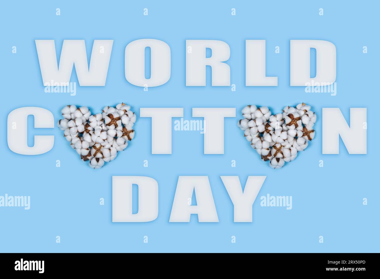 Giornata mondiale del cotone osservata il 7 ottobre. Poster con iscrizione in cui la lettera o è a forma di cuore realizzato con fiori di cotone su sfondo blu chiaro Foto Stock