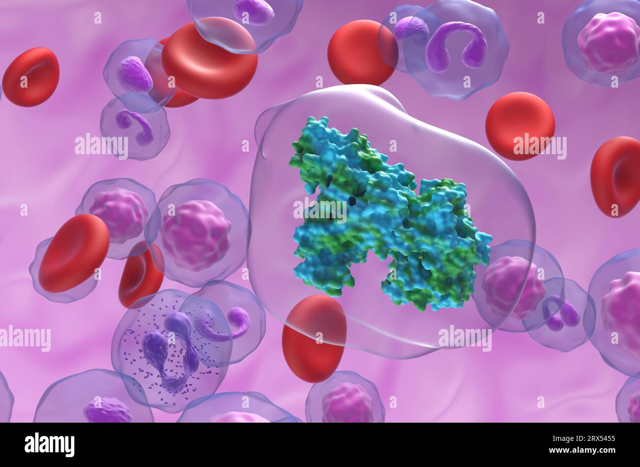 Creatina chinasi enzima di tipo cerebrale (CK-BB) nel flusso sanguigno - vista primo piano illustrazione 3d. Foto Stock