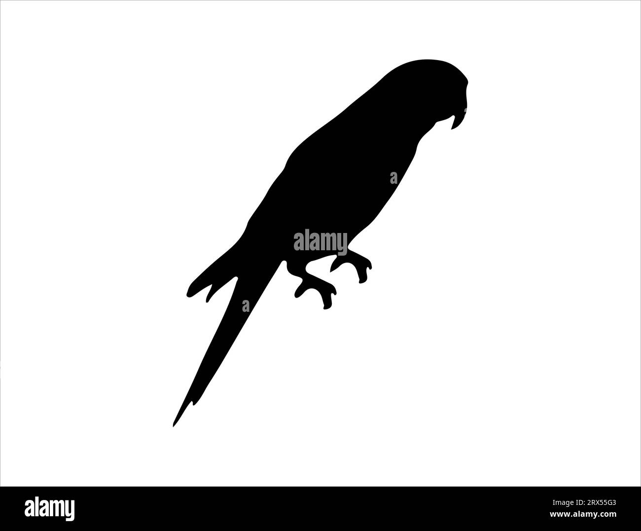 Sfondo bianco vettoriale della silhouette di Lovebird Illustrazione Vettoriale