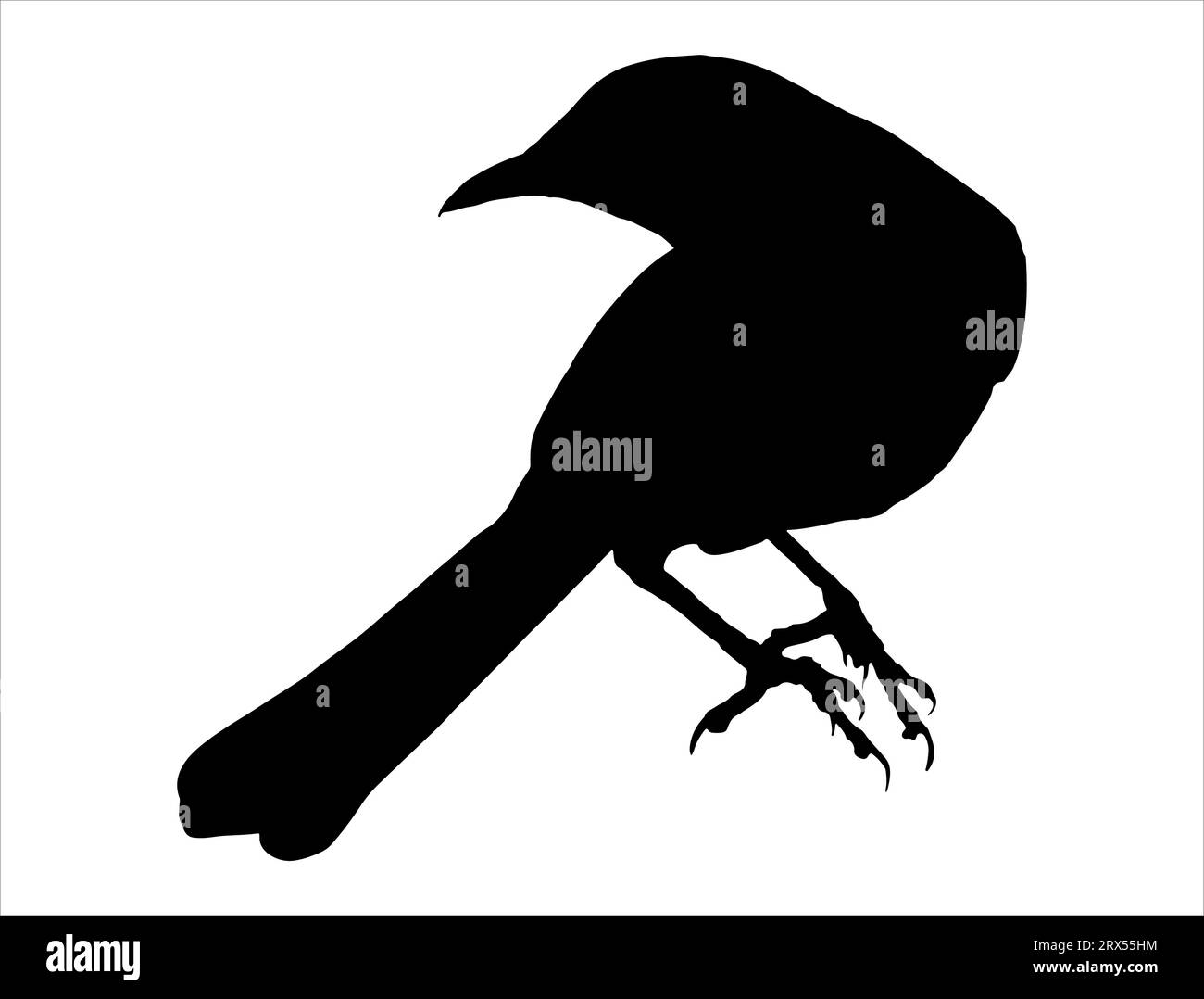 Mockingbird silhouette Vector art sfondo bianco Illustrazione Vettoriale