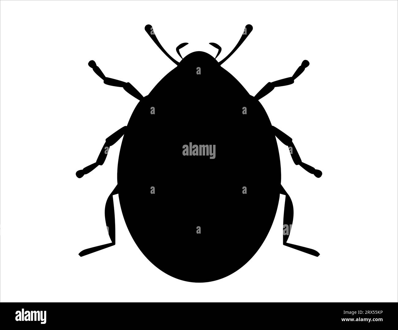 Ladybug silhouette grafica vettoriale sfondo bianco Illustrazione Vettoriale