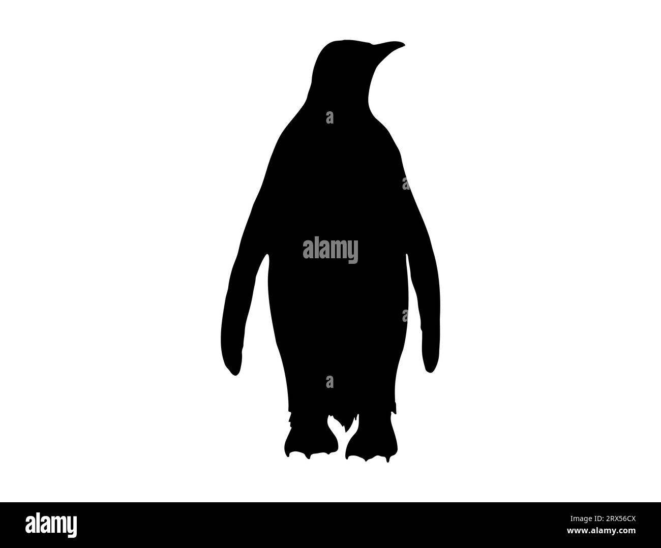 Sfondo bianco con grafica vettoriale della silhouette dei pinguini Illustrazione Vettoriale