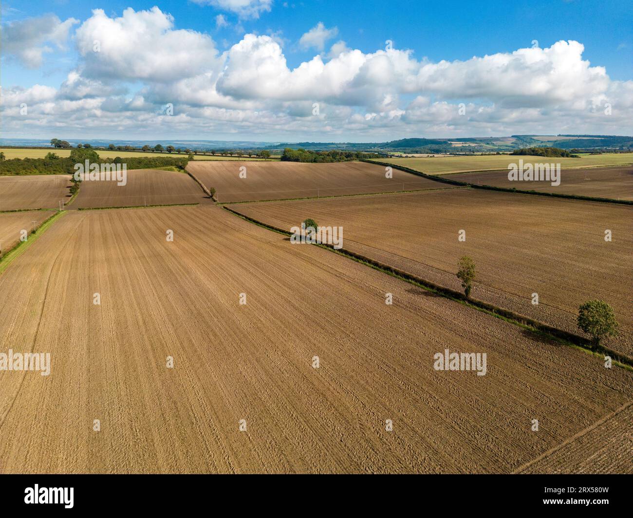 Terreni agricoli nel North Yorkshire, Inghilterra nordorientale. Foto Stock
