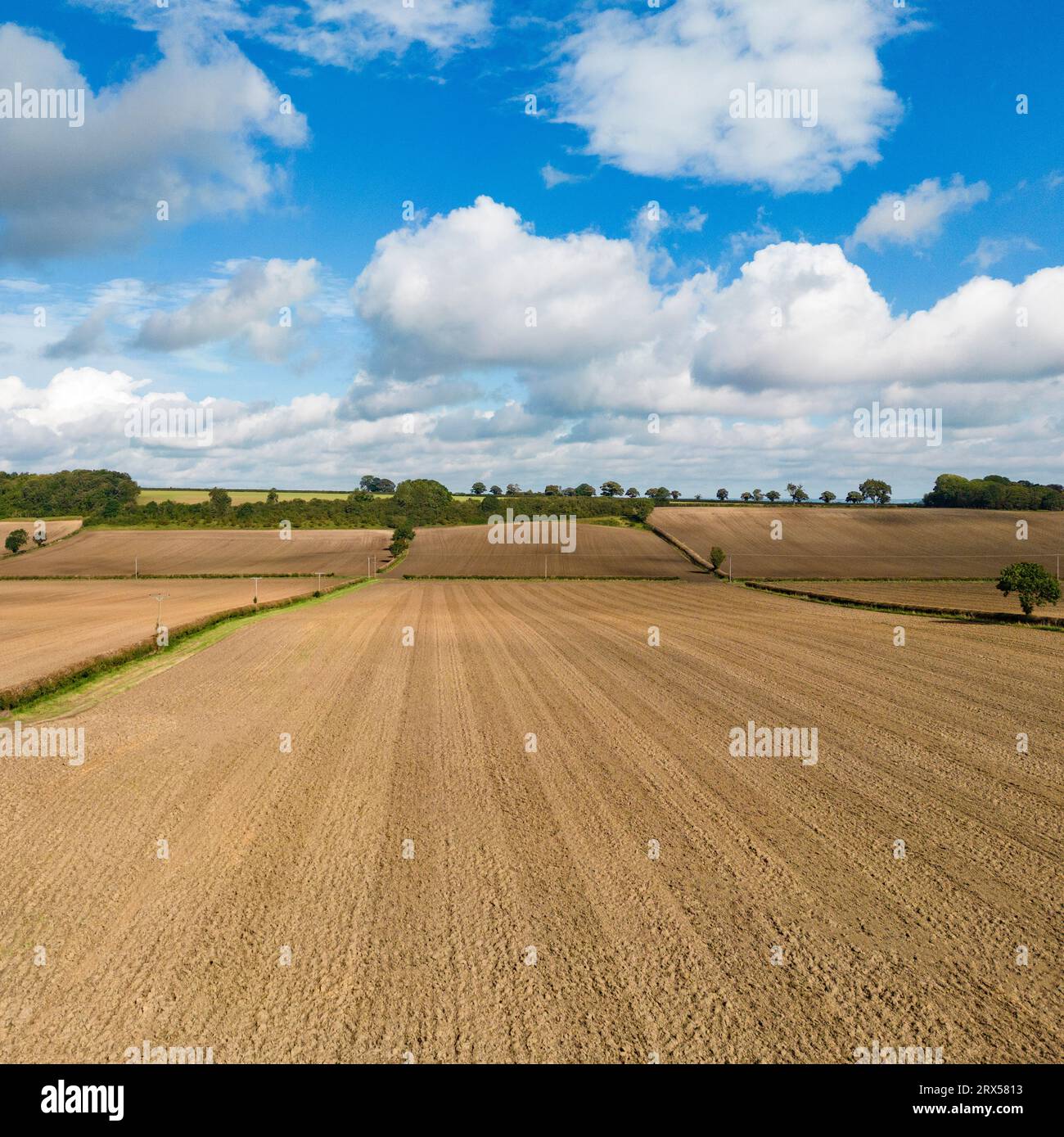 Terreni agricoli nel North Yorkshire, Inghilterra nordorientale. Foto Stock