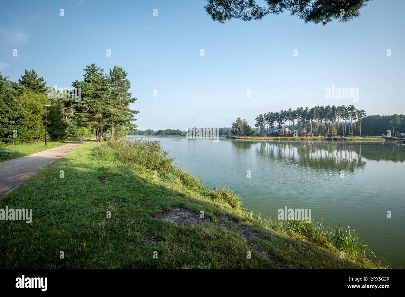 Raffreddare la mattina presto sul serbatoio. Luce mattutina. Rugiada sull'erba. La penisola è coperta da una pineta. Krasnobrod, Roztocze, Polonia Foto Stock