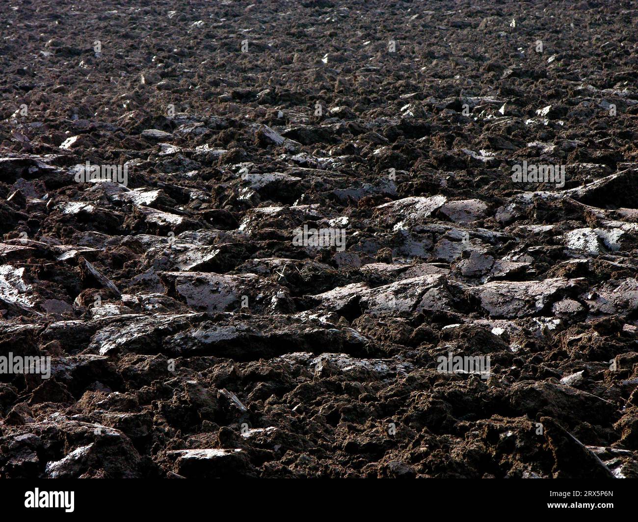 Terreno appena arato, acri, agricoltura in campagna, chiodi di terreno arabile Foto Stock