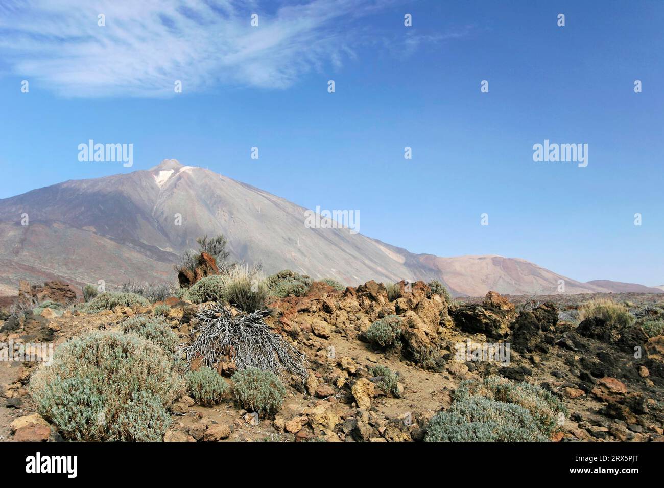 Parco Nazionale del Teide Foto Stock