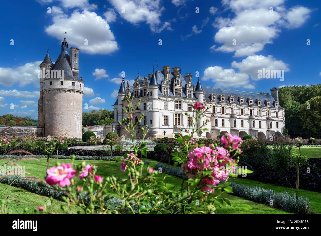 Vista del famoso punto di riferimento internazionale, del castello di Chenonceau e dello splendido giardino fiorito nella Valle della Loira a Tours, Francia Foto Stock