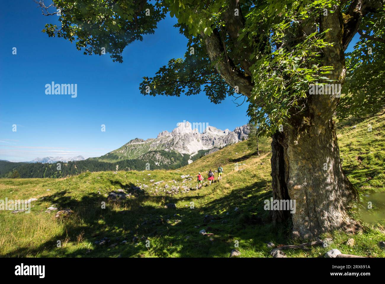Austria, Salzburger Land, donne escursioniste nei monti Dachstein Foto Stock