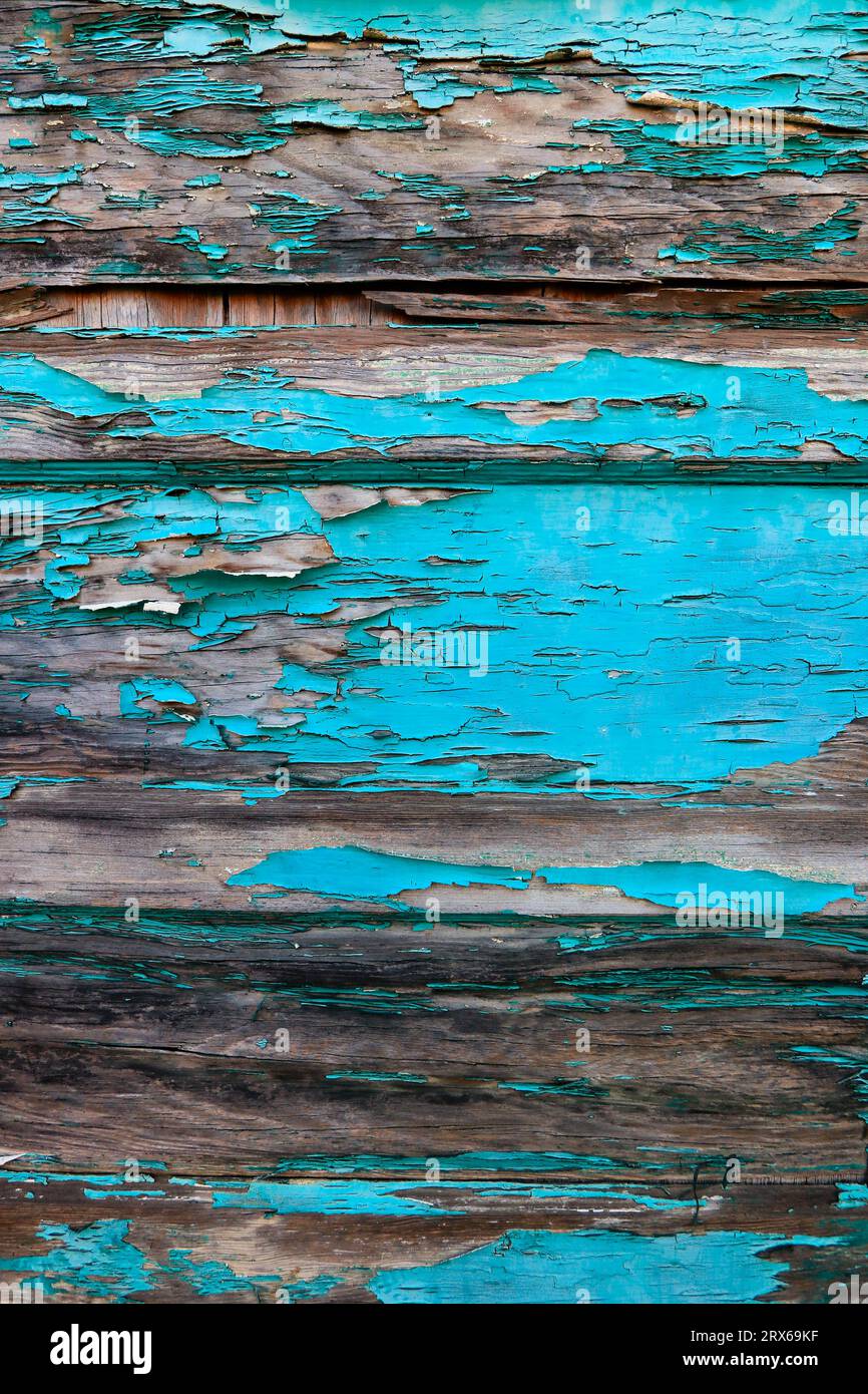 Distacco di vernice blu sui pannelli delle portiere in legno Foto Stock