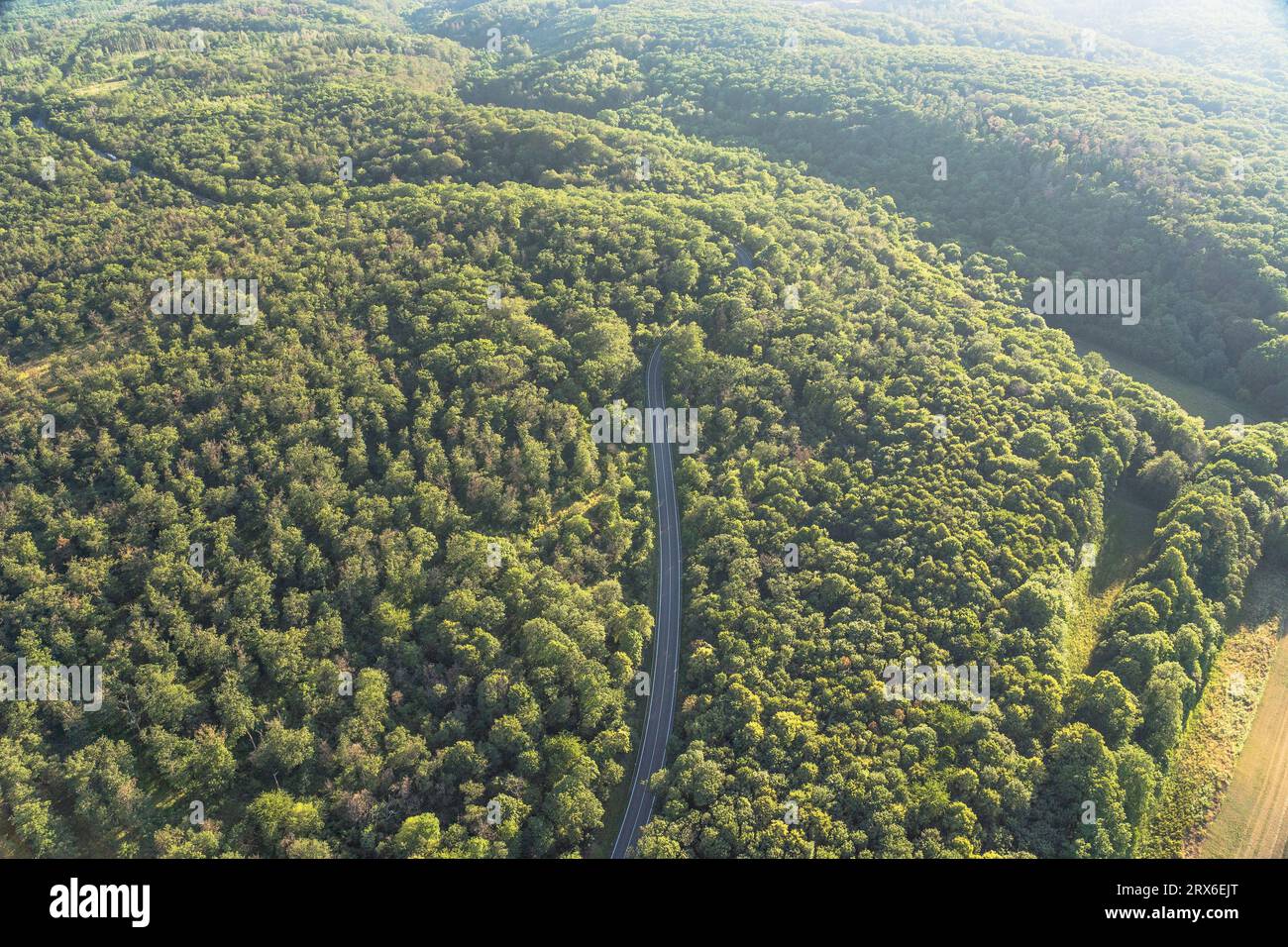 Germania, Sassonia-Anhalt, vista aerea della Bundesstrasse 185 che taglia la foresta verde di Harz Foto Stock