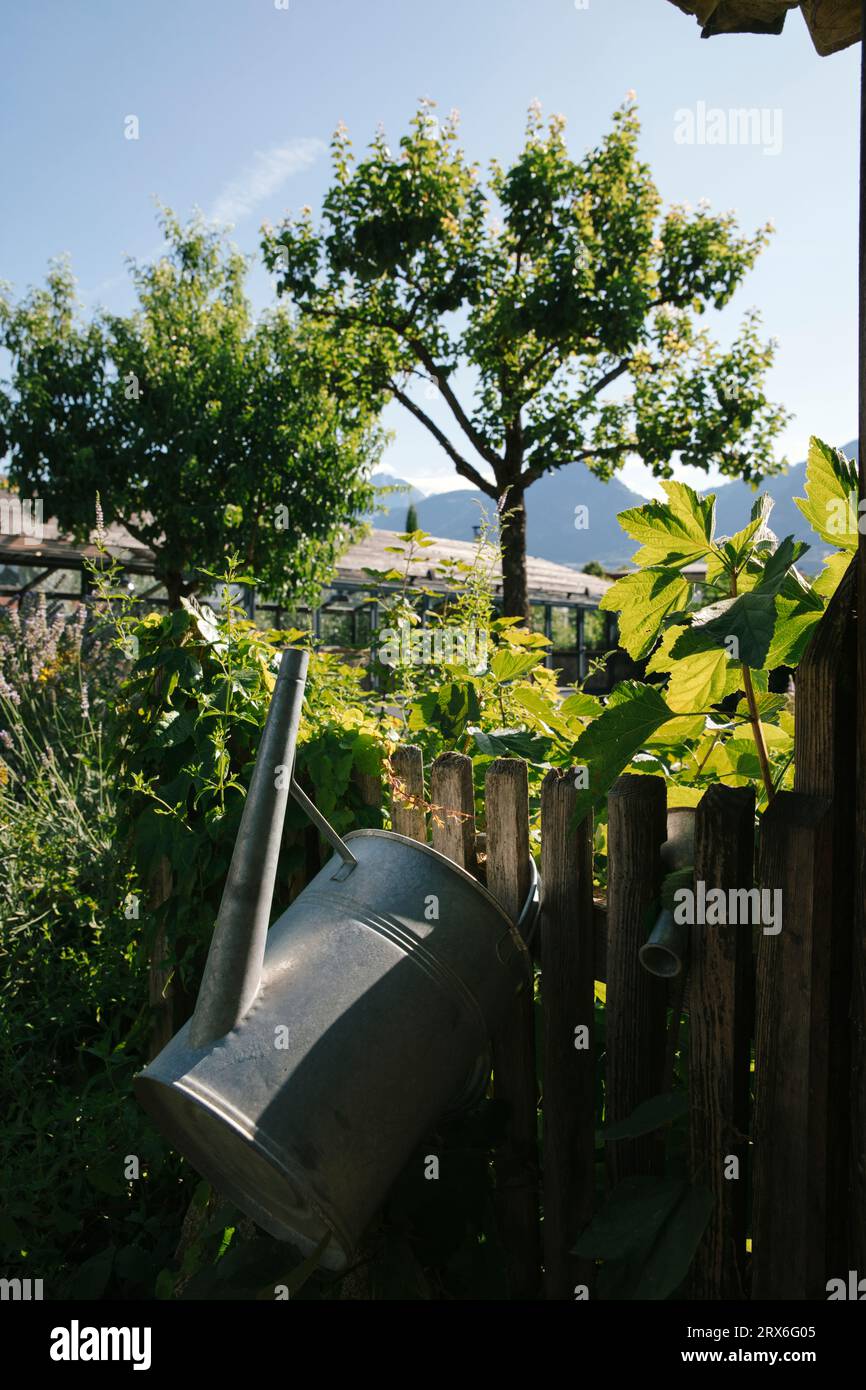 Nelle giornate di sole è possibile innaffiare vicino alla recinzione in giardino Foto Stock