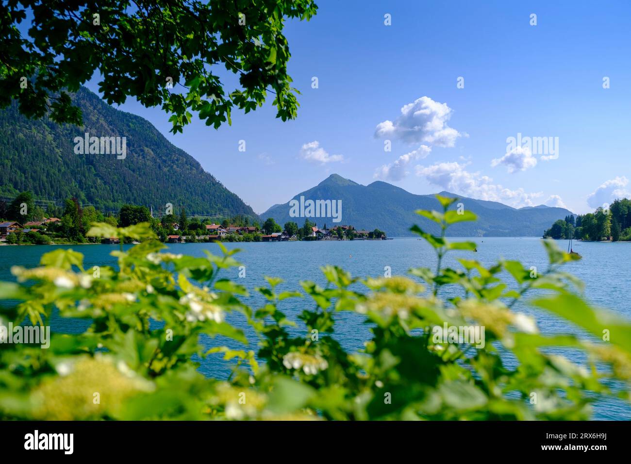 Germania, Baviera, lago Walchensee in estate con montagne sullo sfondo Foto Stock