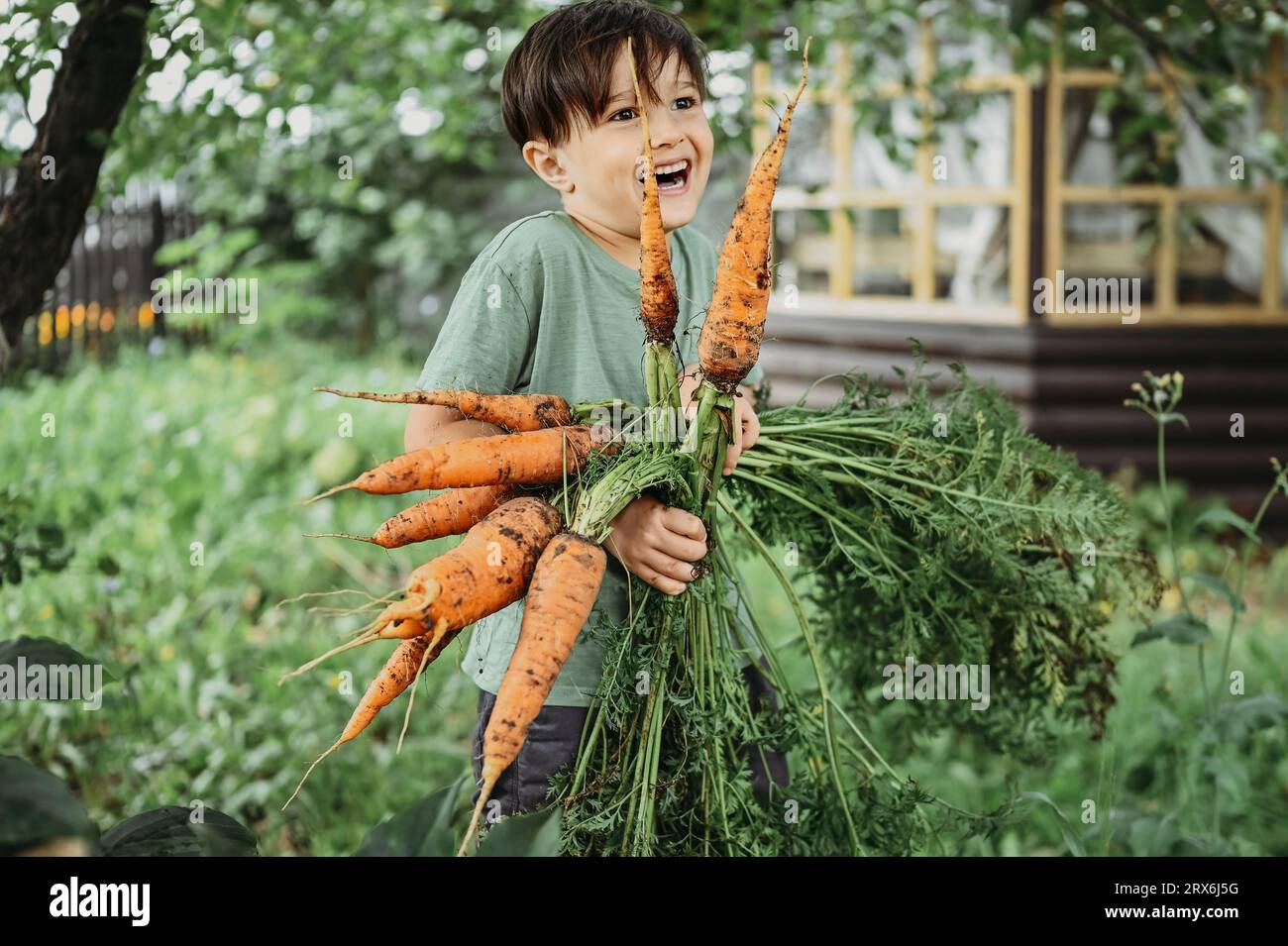 Ragazzo sorridente che tiene un mazzo di carote in giardino Foto Stock