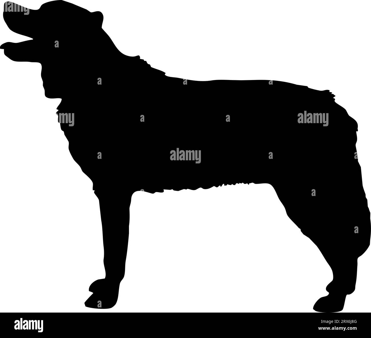 Illustrazione del vettore del segnale della silhouette del cane. Forma di cane nero o lupo su sfondo bianco. Concetto di protezione. Illustrazione concettuale del logo Vet Clinics Illustrazione Vettoriale