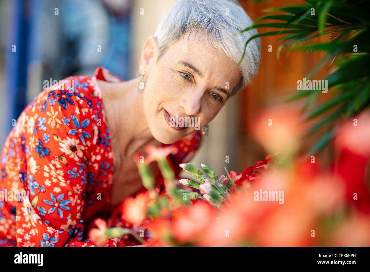 Donna sorridente che indossa un vestito rosso che fissa i fiori Foto Stock