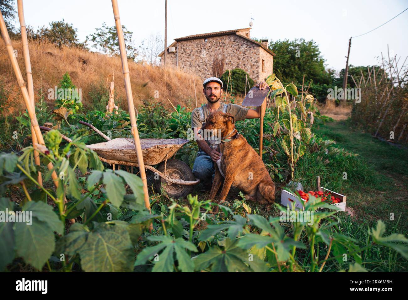 Uomo accovacciato accanto al cane nel frutteto Foto Stock