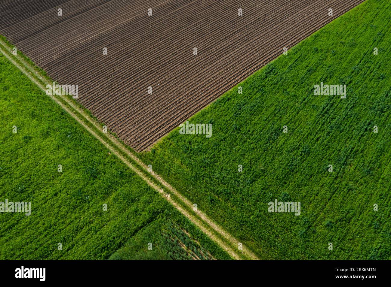 Austria, alta Austria, Hausruckviertel, Drone vista sui campi verdi e arati Foto Stock