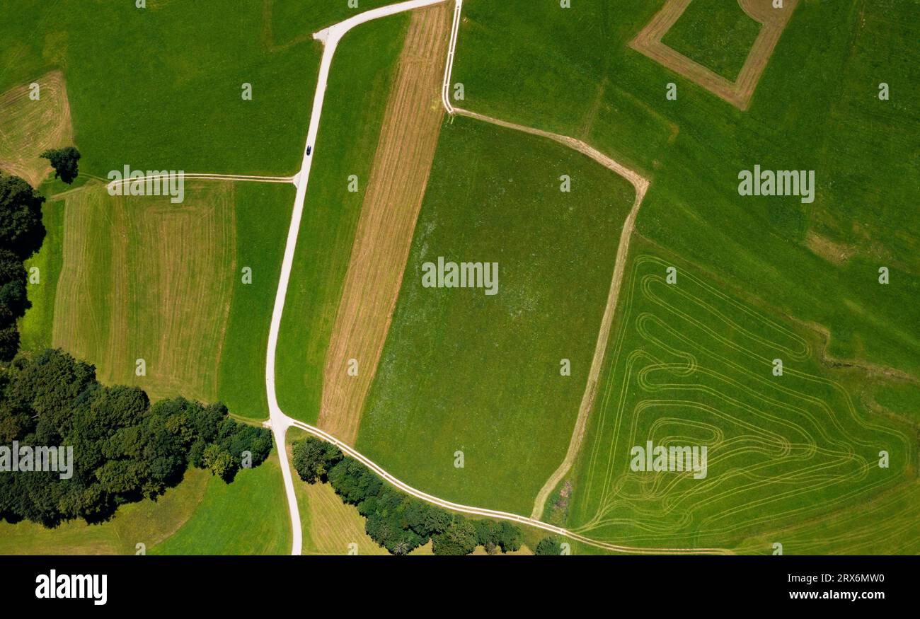 Austria, alta Austria, Hausruckviertel, Drone vista delle strade sterrate che attraversano i campi verdi Foto Stock