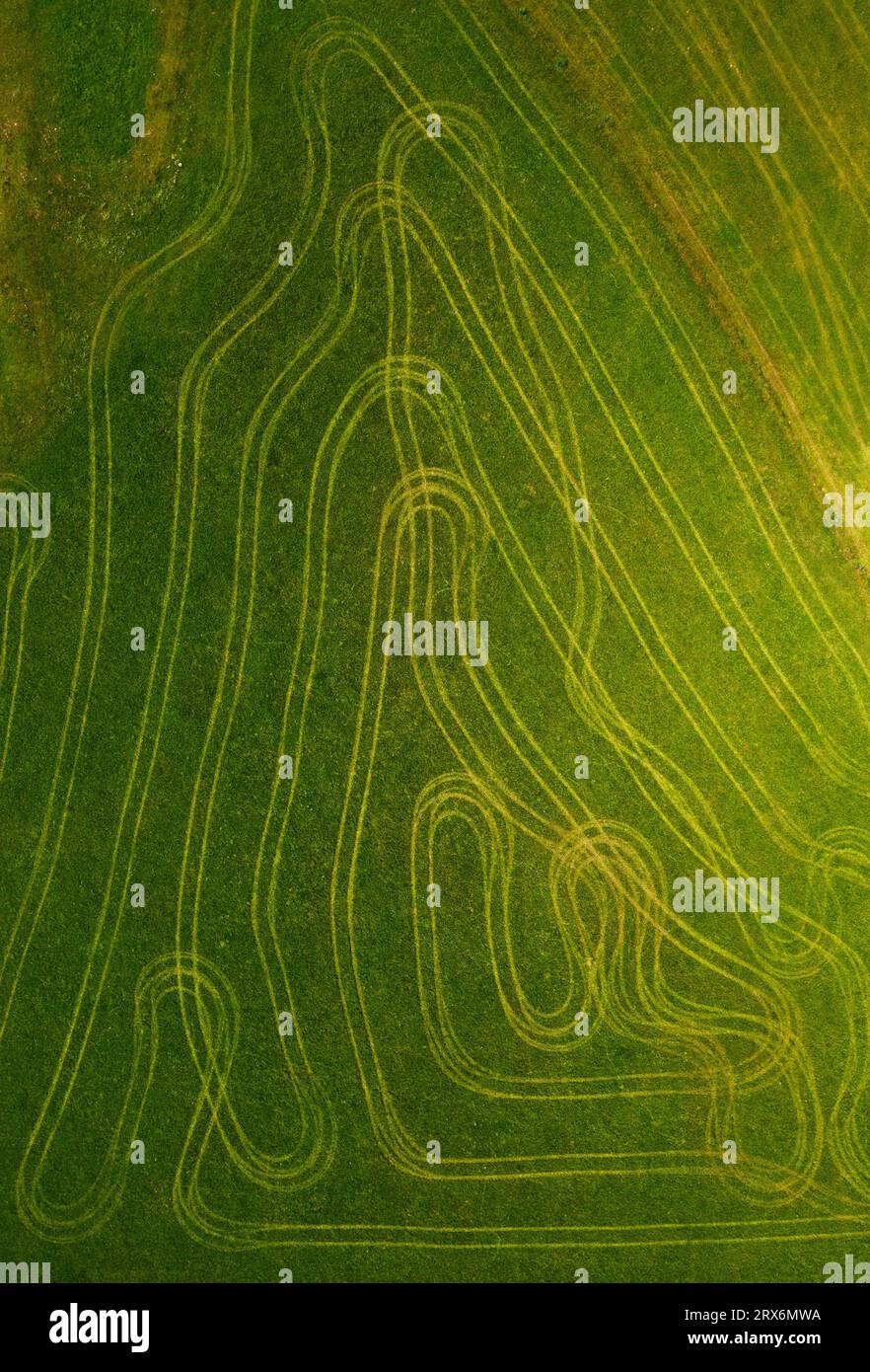 Austria, alta Austria, Hausruckviertel, Drone veduta del campo verde coperto dalle piste di pneumatici Foto Stock