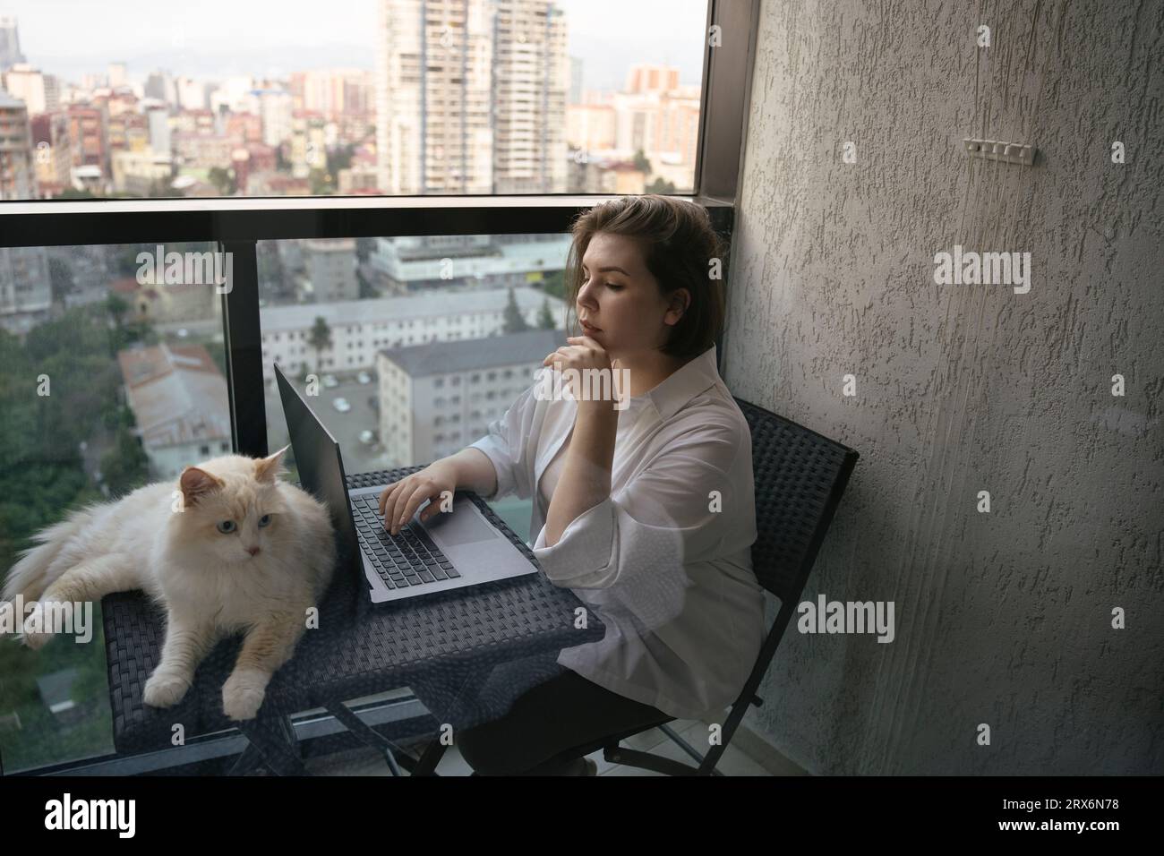 Freelance che utilizza un computer portatile con un gatto seduto sul tavolo Foto Stock