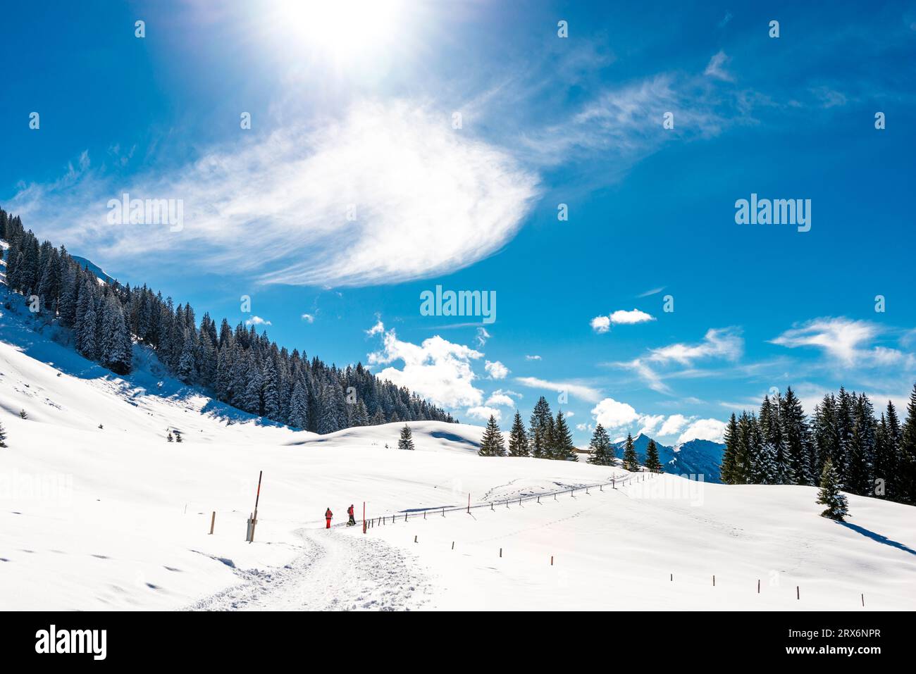 Germania, Baviera, Marker sulla superficie innevata del monte Sollereck Foto Stock