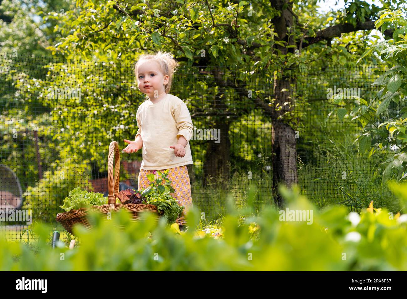 Ragazza carina con cesto di verdure fresche in giardino Foto Stock