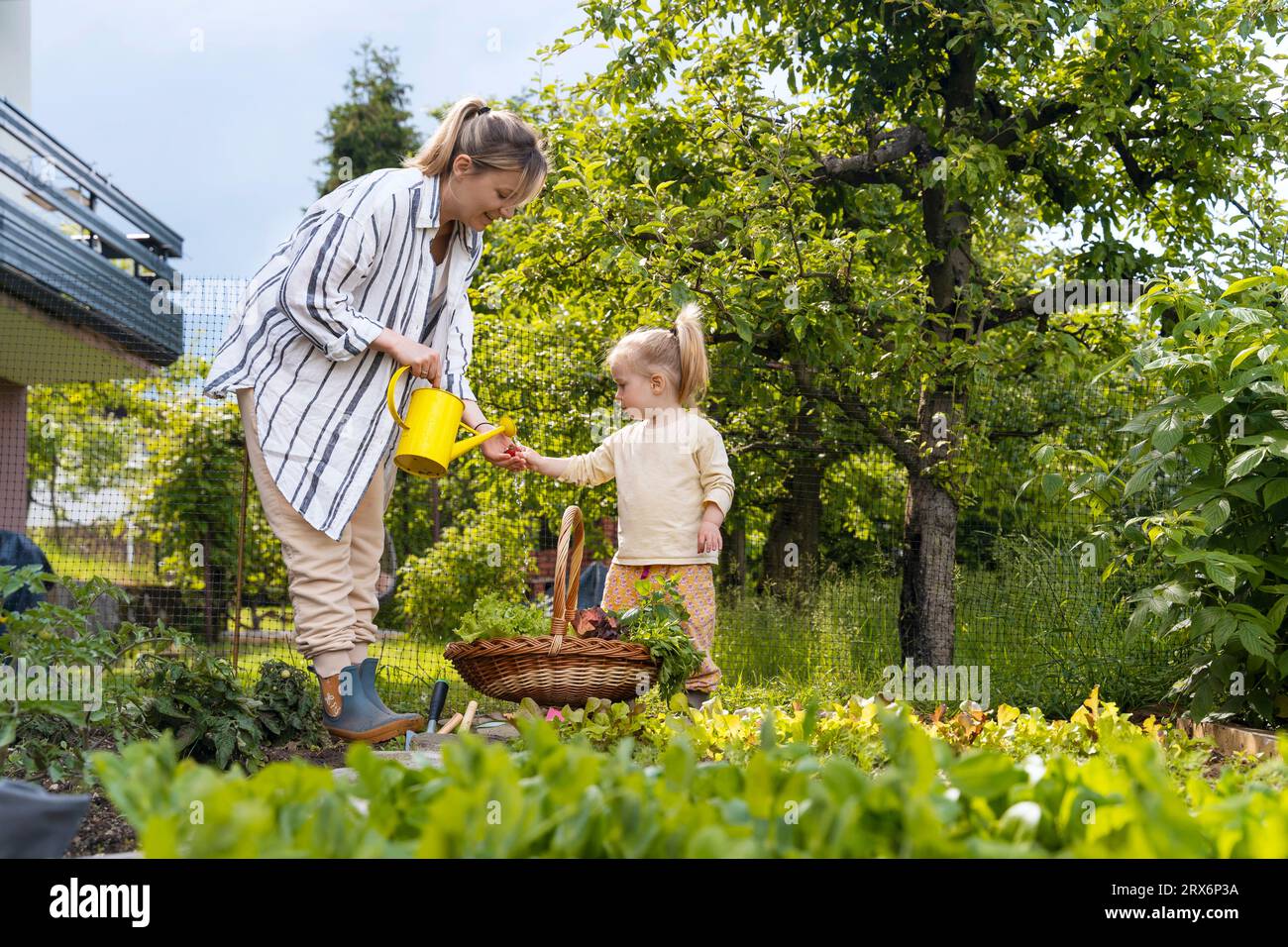 Ragazza con madre che pulisce le fragole anche se annaffiano in giardino Foto Stock