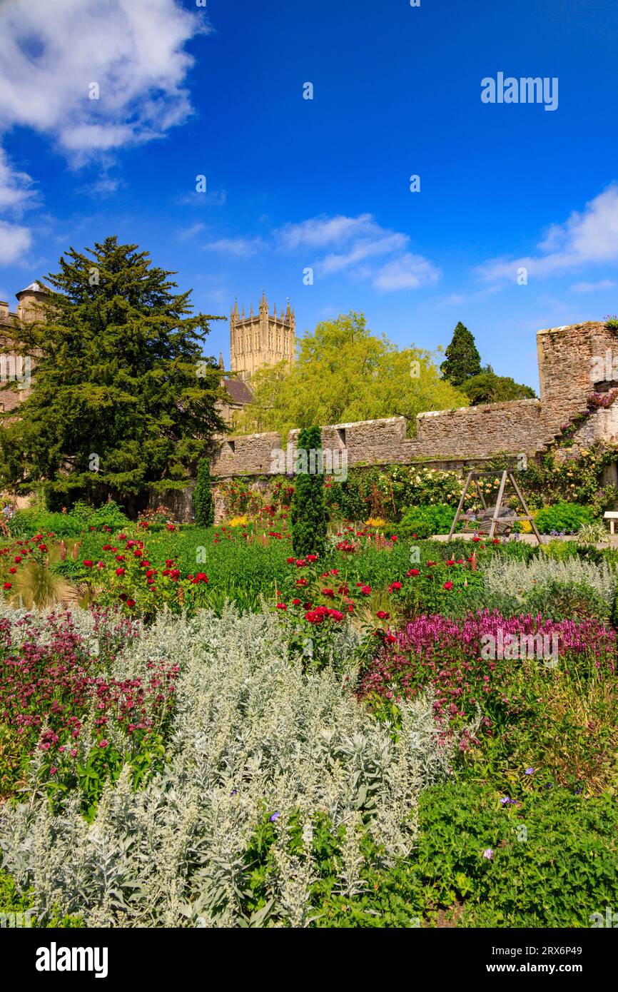 La magnifica cattedrale vista dall'interno dei giardini del Palazzo vescovile di Wells, Somerset, Inghilterra, Regno Unito Foto Stock