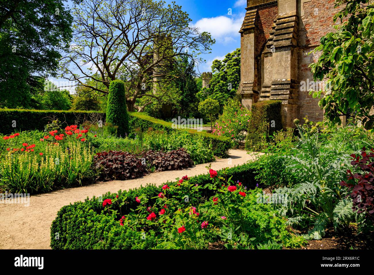 Siepi Box e confini erbacei all'interno dei giardini del Palazzo vescovile di Wells, Somerset, Inghilterra, Regno Unito Foto Stock
