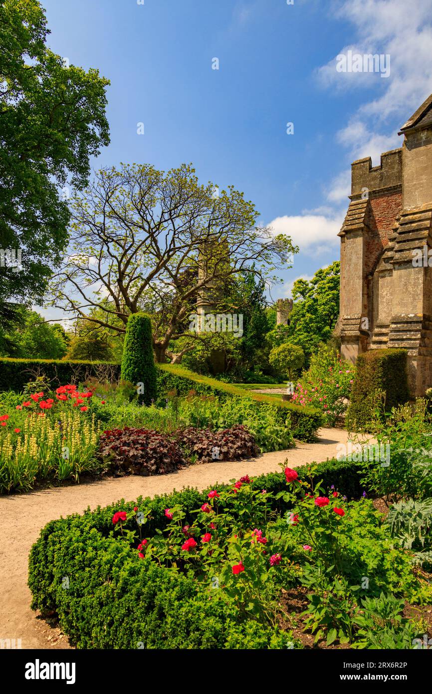 Siepi Box e confini erbacei all'interno dei giardini del Palazzo vescovile di Wells, Somerset, Inghilterra, Regno Unito Foto Stock
