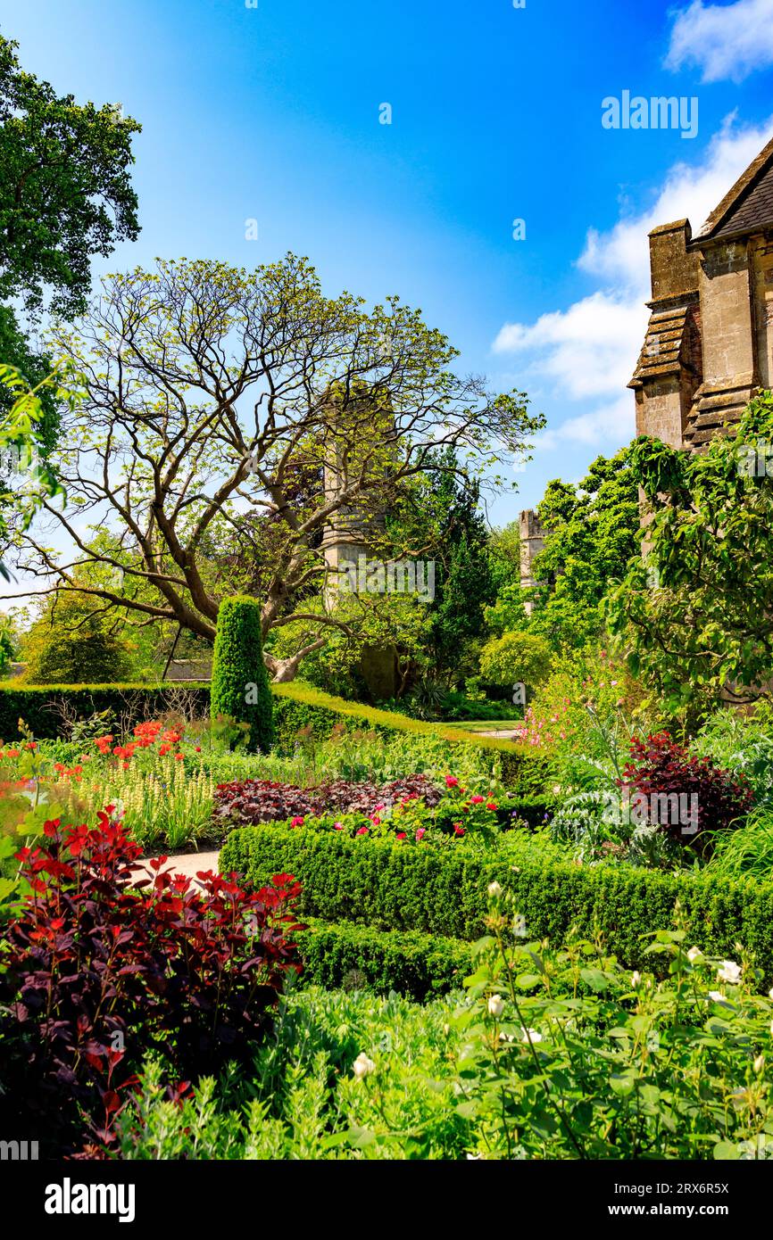 Siepi Box e confini erbacei all'interno dei giardini del Palazzo vescovile di Wells, Somerset, Inghilterra, Regno Unito Foto Stock