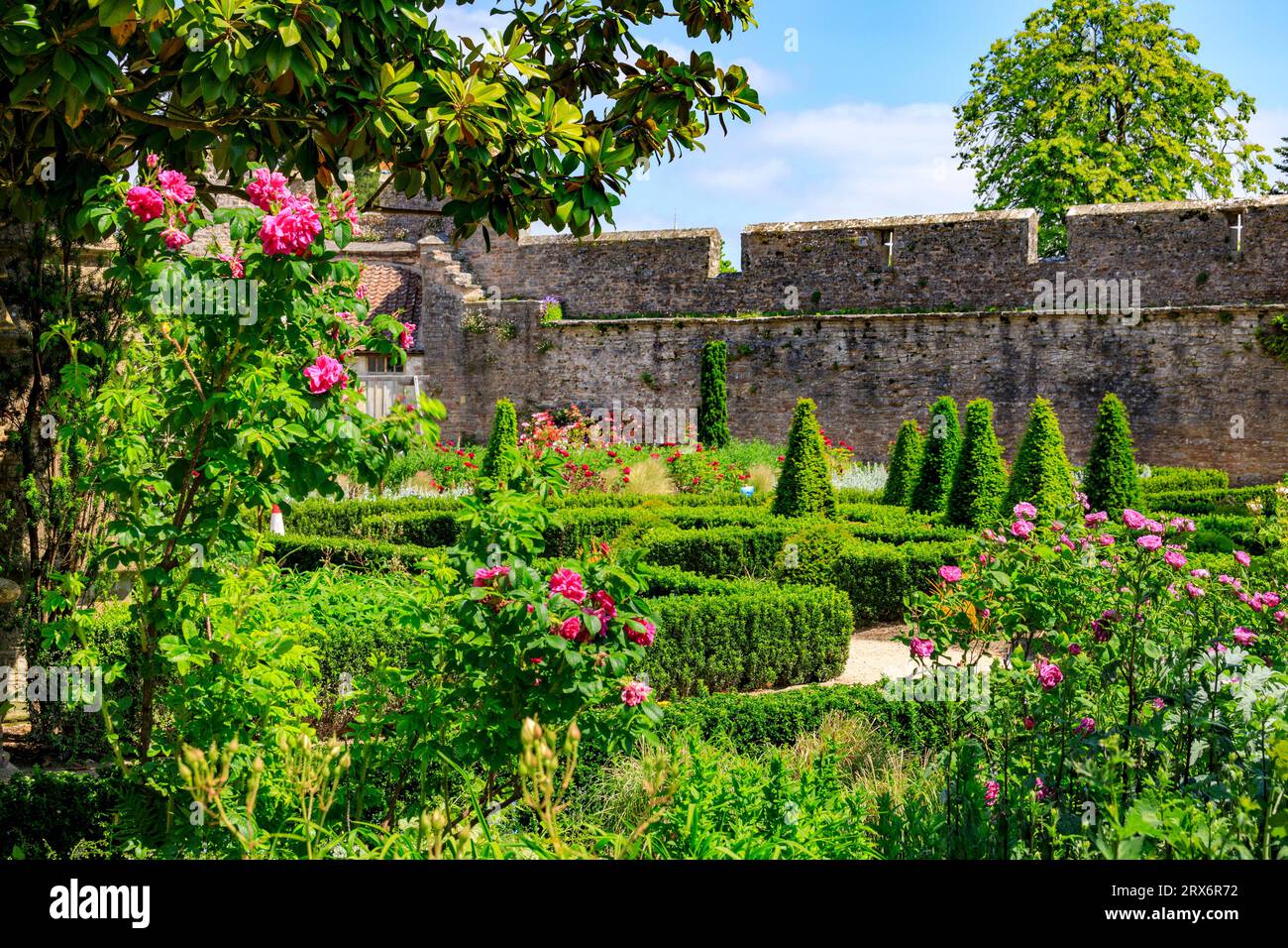 Siepi Box e confini erbacei all'interno dei giardini del Palazzo vescovile di Wells, Somerset, Inghilterra, Regno Unito Foto Stock